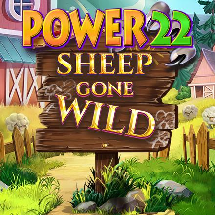 Sheep Gone Wild